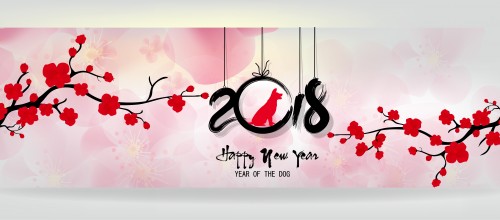 2018 Happy Chinese New Year!